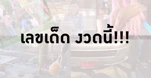 ติดตาม ข่าวเลขออนไลน์ ล่าสุด วงการตัวเลข